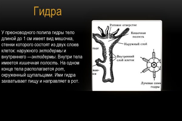 Как восстановить кракен